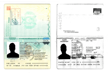 hoja de identificación del pasaporte escaneada solicitud de permanencia definitiva chile extranjeria immichile
