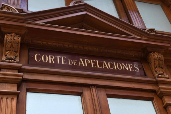Corte de Apelaciones de Santiago acoge recurso de protección por rechazo de solicitud de permiso de turismo por no acreditación de recursos económicos propios